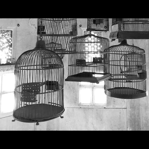 Meet your Posher, Guillaume - Picture 1 of 1